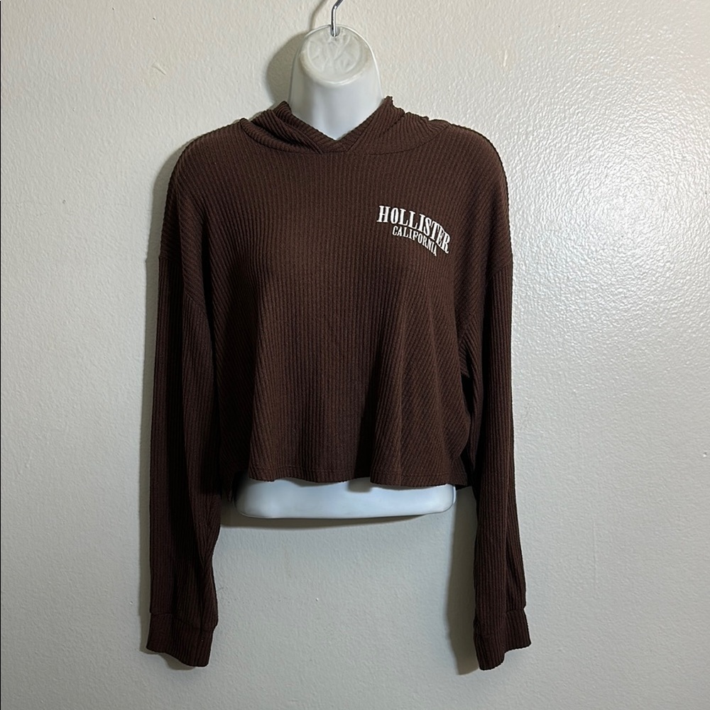 Hollister Brown Cropped Long Sleeve Hoodie